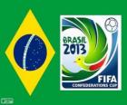 Кубок конфедераций 2013 (Бразилия)